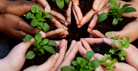 Header_roots of change_tiefenökologie_Gewaltfreie Kommunikation_ruhrgebiet11